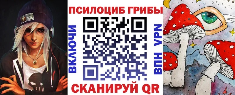 Псилоцибиновые грибы Psilocybe  Фрязино 